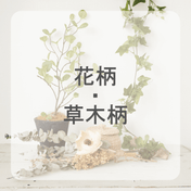 花柄・草木柄 ドレープカーテン