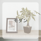 モダンテイスト ドレープカーテン