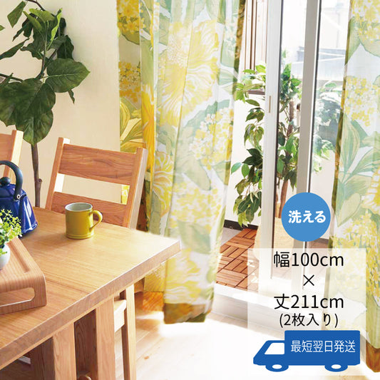 LSリザ《イエロー》-1