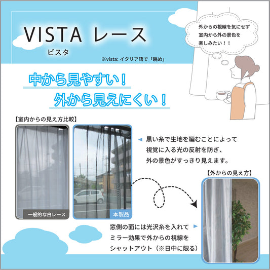 ビスタレース説明