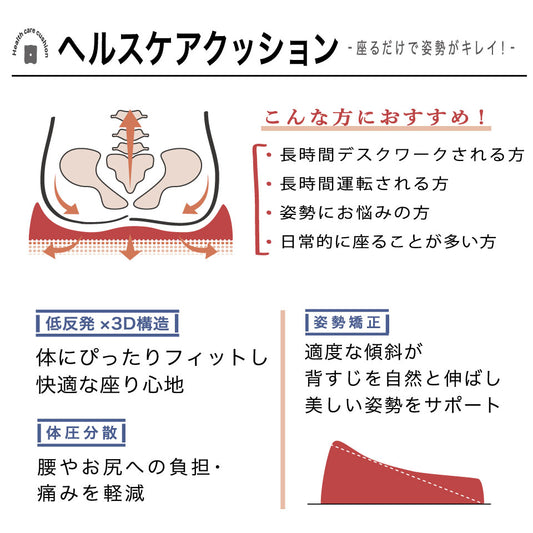 ヘルスケアクッション詳細