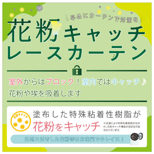 花粉キャッチレースカーテン説明(モリーン・コリーン)