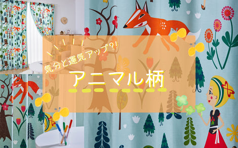 カーテン 特集　イメージ