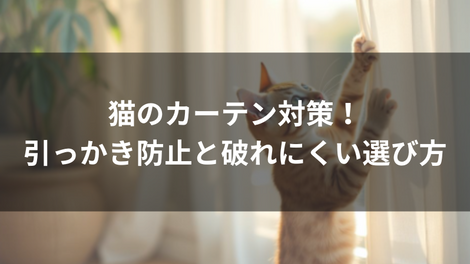 猫のカーテン対策！引っかき防止と破れにくい選び方