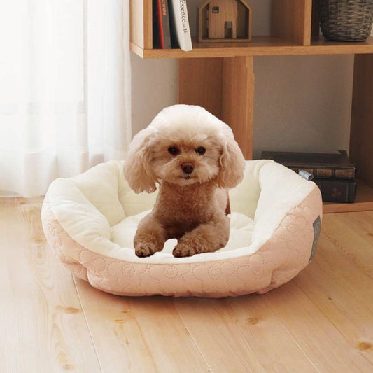 SRフェアリー シェル《ピンク》