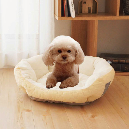 SRフェアリー シェル《イエロー》