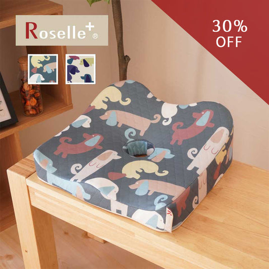 Rコイラカベリ　ヘルスケアクッション-30%OFF