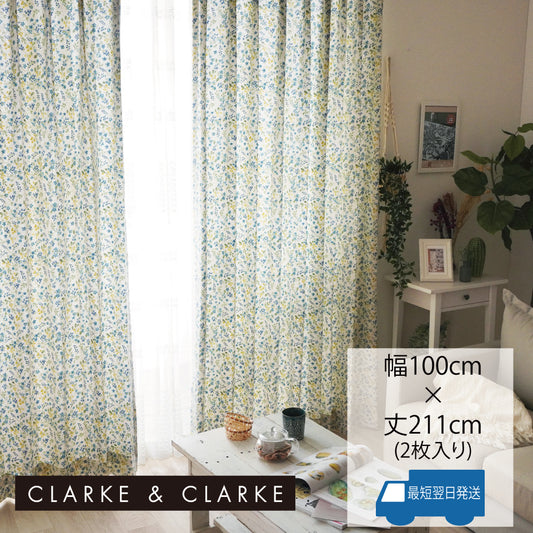 ペタル《ブルー》