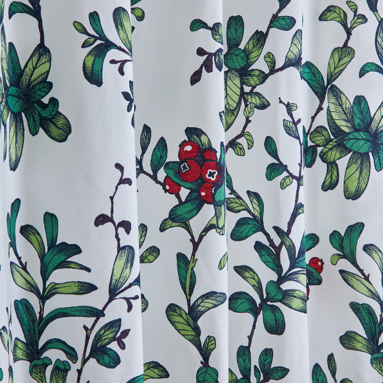 鮮やかなグリーンの草木と赤い実のコントラスト