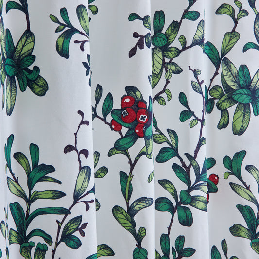 鮮やかなグリーンの草木と赤い実のコントラスト